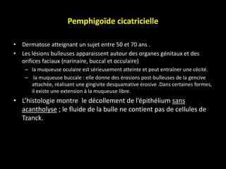Pemphigoïde cicatricielle
• Dermatose atteignant un sujet entre 50 et 70 ans .
• Les lésions bulleuses apparaissent autour des organes génitaux et des
orifices faciaux (narinaire, buccal et occulaire)
– la muqueuse oculaire est sérieusement atteinte et peut entraîner une cécité.
– la muqueuse buccale : elle donne des érosions post-bulleuses de la gencive
attachée, réalisant une gingivite desquamative érosive .Dans certaines formes,
il existe une extension à la muqueuse libre.
• L’histologie montre le décollement de l’épithélium sans
acantholyse ; le fluide de la bulle ne contient pas de cellules de
Tzanck.
 
