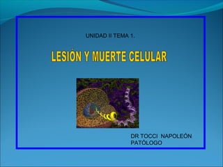 UNIDAD II TEMA 1.




               DR TOCCI NAPOLEÓN
               PATÓLOGO
 