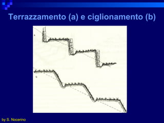 Terrazzamento (a) e ciglionamento (b) by S. Nocerino 