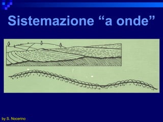 Sistemazione “a onde” by S. Nocerino 