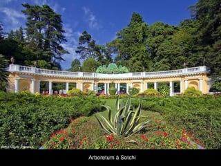 Arboretum à Sotchi

 