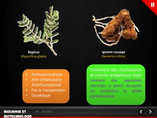 Réglisse                       Igname sauvage
Glycyrrhiza glabra                  Dwsœrea mllosa


                              Traitement des rhumatismes
   •   Antispasmodique        et comme analgésique local,
   •   Anti-inflamatoire      contient des saponines
   •   Antirhumatismal        stéroïdes a partir desquels
   •   Fav la transpiration   on synthétisa la pilule
   •   Diurétique             contraceptive.


          M2   2011/2012
 