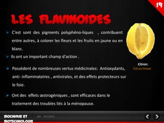  C’est sont des pigments polyphéno-liques , contribuent
   entre autres, à colorer les fleurs et les fruits en jaune ou en
   blanc.
 Ils ont un important champ d'action .
J                                                                         Citron:
 Possèdent de nombreuses vertus médicinales: Antioxydants,            Citrus limon

   anti- inflammatoires , antivirales, et des effets protecteurs sur
   le foie.

 Ont des effets œstrogéniques , sont efficaces dans le
   traitement des troubles liés à la ménopause.

                 M2   2011/2012
 