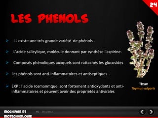    IL existe une très grande variété de phénols .

 L'acide salicylique, molécule donnant par synthèse l'aspirine.

 Composés phénoliques auxquels sont rattachés les glucosides

 les phénols sont anti-inflammatoires et antiseptiques .

                                                                       Thym
 EXP : l'acide rosmanmque sont fortement antioxydants et anti-    Thymus vulgaris
  inflammatoires et peuvent avoir des propriétés antivirales



                M2   2011/2012
 
