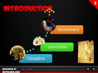 récemment


                 camomille

     Cléopâtre

M2   2011/2012
 