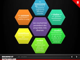 les
                      furanocouman
                       nes comme le
                        bergaptene
                        soignent les
                         affections
                         cutanées      La Khelline est
Les coumannes
                                        un puissant
  contribuent a
                                       vasodilatateur
fluidifier le sang
                                         coronarien
                     Les coumarines
                      possèdent des
                     propriétés très
                         diverses        La visnadine
                                       vasodilatatrices
Ombelliférone
                                        coronariennes
utilisée comme
                                        et agit sur les
      anti-
                                        troubles de la
inflammatoire
                        Esculétol         sénescence
                                           cérébrale
                         utilisé en
                      thérapeutique
                         pour ses
                        propriétés
                       vitaminique


M2   2011/2012
 