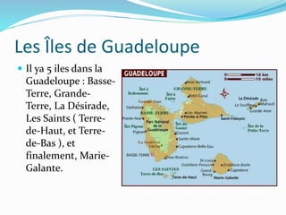 Les Îles de Guadeloupe
 Il ya 5 iles dans la
Guadeloupe : Basse-
Terre, Grande-
Terre, La Désirade,
Les Saints ( Terre-
de-Haut, et Terre-
de-Bas ), et
finalement, Marie-
Galante.
 