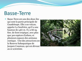 Basse-Terre
 Basse-Terre est une des deux iles
qui sont la partie principale de
Guadeloupe. Elle a un volcan,
appeler La Soufrière, qu’il a une
hauteur de 1467 m. Il y a 66 sq.
Km. de foret tropique, avec plus
que 300 espèces d’arbres, et
plusieurs espaces des animaux
exotique. Une des attractions est
la Reserve Subaquatique de
Jacques Cousteau, qui est dévoué
au ce scientiste.
 