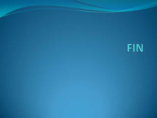 FIN
