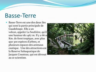 Basse-TerreBasse-Terre est une des deux iles qui sont la partie principale de Guadeloupe. Elle a un volcan, appeler La Soufrière, qu’il a une hauteur de 1467 m. Il y a 66 sq. Km. de foret tropique, avec plus que 300 espèces d’arbres, et plusieurs espaces des animaux exotique.  Une des attractions est la Reserve Subaquatique de Jacques Cousteau, qui est dévoué au ce scientiste.  
