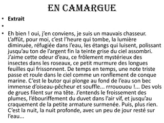 En Camargue
• Extrait
•
• Eh bien ! oui, j’en conviens, je suis un mauvais chasseur.
  L’affût, pour moi, c’est l’heure qui tombe, la lumière
  diminuée, réfugiée dans l’eau, les étangs qui luisent, polissant
  jusqu’au ton de l’argent fin la teinte grise du ciel assombri.
  J’aime cette odeur d’eau, ce frôlement mystérieux des
  insectes dans les roseaux, ce petit murmure des longues
  feuilles qui frissonnent. De temps en temps, une note triste
  passe et roule dans le ciel comme un ronflement de conque
  marine. C’est le butor qui plonge au fond de l’eau son bec
  immense d’oiseau-pêcheur et souffle... rrrououou !... Des vols
  de grues filent sur ma tête. J’entends le froissement des
  plumes, l’ébouriffement du duvet dans l’air vif, et jusqu’au
  craquement de la petite armature surmenée. Puis, plus rien.
  C’est la nuit, la nuit profonde, avec un peu de jour resté sur
  l’eau...
 