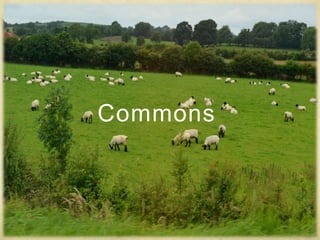 Commons
 