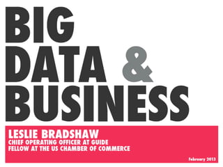 A Primer on Big Data for Business