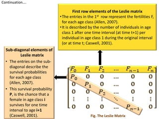 Importance of Leslie Matrix and age distribution towards population ...