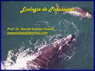 Ecologia de Populações


Prof. Dr. Harold Gordon Fowler
popecologia@hotmail.com
 