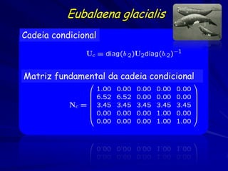 Eubalaena glacialis
Cadeia condicional



Matriz fundamental da cadeia condicional
 