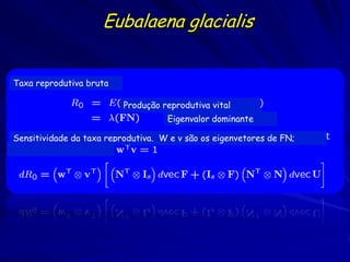 Eubalaena glacialis


Taxa reprodutiva bruta

                          Produção reprodutiva vital
                       ...