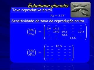 Eubalaena glacialis
Taxa reprodutiva bruta


Sensitividade da taxa da reprodução bruta
 