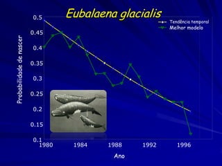 0.5      Eubalaena glacialis
                                                         Tendência temporal
                 ...