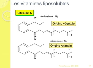 Franck Rencurel 2019-2020 111
Origine végétale
Origine Animale
Les vitamines liposolubles
 