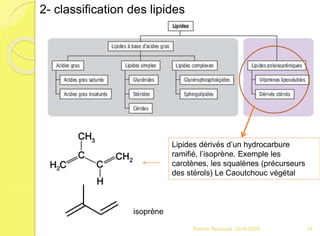 Franck Rencurel 2019-2020 14
2- classification des lipides
Lipides dérivés d’un hydrocarbure
ramifié, l’isoprène. Exemple les
carotènes, les squalènes (précurseurs
des stérols) Le Caoutchouc végétal
isoprène
 