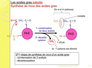 H3C - C ~ S
O
=
FAS
O = C - CH2 - C = O
O- S
~ 1- condensation
de deux acétyls
FAS
H3C - C - CH2 - C = O
O S
~
HS
instable
2ème étape de synthèse de novo d’un acide gras:
- condensation de 2 acétyls
- décarboxylation
CO2
2- décarbo-
xylation
Les acides gras saturés
Synthèse de novo des acides gras
+ 2CoA
On a ici 4 carbones
Ici 1 carbone est éliminé
20Franck Rencurel 2019-2020
 
