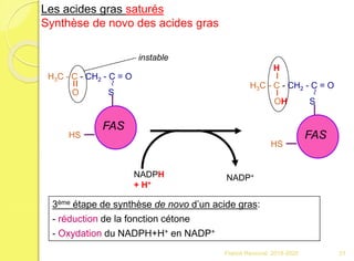 3ème étape de synthèse de novo d’un acide gras:
- réduction de la fonction cétone
- Oxydation du NADPH+H+ en NADP+
FAS
H3C - C - CH2 - C = O
O S
~
HS
instable
FAS
H3C - C - CH2 - C = O
OH S
~
HS
H
NADPH
+ H+
NADP+
Les acides gras saturés
Synthèse de novo des acides gras
21Franck Rencurel 2019-2020
 