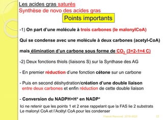 Points importants
-1) On part d’une molécule à trois carbones (le malonylCoA)
Qui se condense avec une molécule à deux carbones (acetyl-CoA)
mais élimination d’un carbone sous forme de CO2 (3+2-1=4 C)
-2) Deux fonctions thiols (liaisons S) sur la Synthase des AG
- En premier réduction d’une fonction cétone sur un carbone
- Puis en second déshydration/création d’une double liaison
entre deux carbones et enfin réduction de cette double liaison
- Conversion du NADPH+H+ en NADP+
Les acides gras saturés
Synthèse de novo des acides gras
Ici ne retenir que les points 1 et 2 ense rappelant que la FAS lie 2 substrats
Le malonyl CoA et l’Acétyl CoA pour les condenser
23Franck Rencurel 2019-2020
 