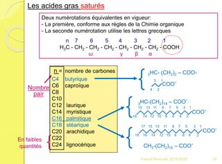C4 butyrique
C6 caproïque
C8
C10
C12 laurique
C14 myristique
C16 palmitique
C18 stéarique
C20 arachidique
C22
C24 lignocérique
3HC- (CH2)2 – COO-n = nombre de carbones
Nombre
pair
{3HC-(CH2)14 – COO-
15 13 11 9 7 5 3 1
16 14 12 10 8 6 4 2
COO-
COO-
4 2
3 1
{
COO-
17 15 13 11 9 7 5 3 1
18 16 14 12 10 8 6 4 2
CH3-(CH2)16 – COO-{
Deux numérotations équivalentes en vigueur:
- La première, conforme aux règles de la Chimie organique
- La seconde numérotation utilise les lettres grecques
n 7 6 5 4 3 2 1
H3C - CH2 - CH2 - CH2 - CH2 - CH2 - CH2 - COOH
ω γ β α
En faibles
quantités {
Les acides gras saturés
25Franck Rencurel 2019-2020
 