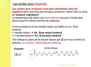 Franck Rencurel 2019-2020 27
Les acides gras Insaturés
Les acides gras insaturés sont plus abondants chez les
végétaux ainsi que chez les animaux vivants en milieu froid ou chez
les oiseaux migrateurs.
La température de fusion est moins élevée que pour l’acide gras
saturé ayant le même nombre de carbones.
C’est la présence d’une double liaison qui défini un ac. Gras
insaturé.
•1 double liaison  Ac. Gras mono insaturé
•>1 double liaison Ac. Gras poly insaturé
•On indique la place de la double liaison par D suivi du numéro du
carbone, le numéro 1 étant celui du carboxyl.
Exemple:
18:D9 1 2
3
4
5
6
7
8
9 10
11
12
13
14
15
16
17
18
Acide oléïque
 