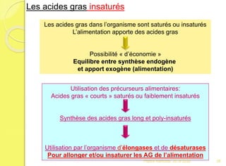 Utilisation des précurseurs alimentaires:
Acides gras « courts » saturés ou faiblement insaturés
Synthèse des acides gras long et poly-insaturés
Utilisation par l’organisme d’élongases et de désaturases
Pour allonger et/ou insaturer les AG de l’alimentation
Les acides gras dans l’organisme sont saturés ou insaturés
L’alimentation apporte des acides gras
Possibilité « d’économie »
Equilibre entre synthèse endogène
et apport exogène (alimentation)
Les acides gras insaturés
28Franck Rencurel 2019-2020
 