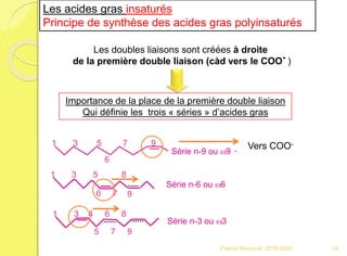 Importance de la place de la première double liaison
Qui définie les trois « séries » d’acides gras
Les doubles liaisons sont créées à droite
de la première double liaison (càd vers le COO- )
1 3 5 7 9
6
1 3 5 8
6
Série n-6 ou w6
7 9
1 3 4 6 8
Série n-3 ou w3
5 7 9
Les acides gras insaturés
Principe de synthèse des acides gras polyinsaturés
Série n-9 ou w9
Vers COO-
34Franck Rencurel 2019-2020
 