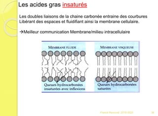 Franck Rencurel 2019-2020 36
Les acides gras insaturés
Les doubles liaisons de la chaine carbonée entraine des courbures
Libérant des espaces et fluidifiant ainsi la membrane cellulaire.
Meilleur communication Membrane/milieu intracellulaire
 