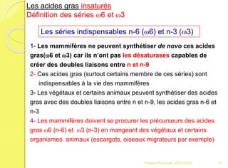 Les séries indispensables n-6 (w6) et n-3 (w3)
1- Les mammifères ne peuvent synthétiser de novo ces acides
gras(w6 et w3) car ils n’ont pas les désaturases capables de
créer des doubles liaisons entre n et n-9
2- Ces acides gras (surtout certains membre de ces séries) sont
indispensables à la vie des mammifères
3- Les végétaux et certains animaux peuvent synthétiser des acides
gras avec des doubles liaisons entre n et n-9, les acides gras n-6 et
n-3
4- Les mammifères doivent se procurer les précurseurs des acides
gras w6 (n-6) et w3 (n-3) en mangeant des végétaux et certains
organismes animaux (escargots, oiseaux migrateurs par exemple)
Les acides gras insaturés
Définition des séries w6 et w3
37Franck Rencurel 2019-2020
 