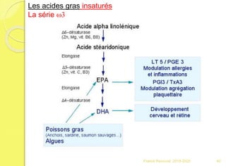 Franck Rencurel 2019-2020 40
Les acides gras insaturés
La série w3
 