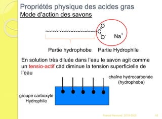 chaîne hydrocarbonée
(hydrophobe)
groupe carboxyle
Hydrophile
C
O
O
- Na
+
En solution très diluée dans l’eau le savon agit comme
un tensio-actif càd diminue la tension superficielle de
l’eau
Propriétés physique des acides gras
Mode d’action des savons
Partie hydrophobe Partie Hydrophile
42Franck Rencurel 2019-2020
 