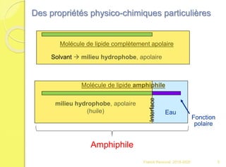 Molécule de lipide complètement apolaire
Solvant  milieu hydrophobe, apolaire
Interface
Eau
Molécule de lipide amphiphile
milieu hydrophobe, apolaire
(huile)
Fonction
polaire
Des propriétés physico-chimiques particulières
Amphiphile
5Franck Rencurel 2019-2020
 