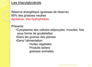 Franck Rencurel 2019-2020 52
Les triacylglycérols
Réserve énergétique (graisses de réserve)
95% des graisses neutres
Apolaires, très hydrophobes
Présents:
•Cytoplasme des cellules adipocytes, muscles, foie
sous forme de gouttelettes
•Dans les graines des plantes
•Dans l’alimentation
Huiles végétales
Produits laitiers
graisses animales
 