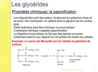 Franck Rencurel 2019-2020 57
Les glycérides
Propriétés chimiques: la saponification
Les triglycérides sont des esters, ils peuvent en présence d’eau et
de base, être hydrolysés on obtient ainsi le glycérol est les acides
gras.
Cette hydrolyse peut être chimique ou enzymatique
L’hydrolyse chimique s’appelle saponification
La digestion enzymatique se fait pas des lipases enzymes
présentent dans le suc digestif et à la surface de toutes les cellules
Exemple: Le savon de Marseille est de l’oléate et palmitate de
sodium
 