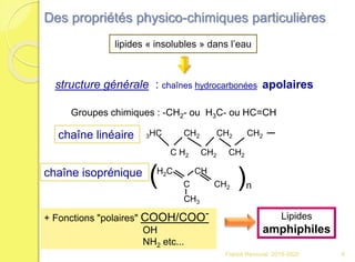 lipides « insolubles » dans l’eau
structure générale : chaînes hydrocarbonées apolaires
Groupes chimiques : -CH2- ou H3C- ou HC=CH
3HC CH2 CH2 CH2
C H2 CH2 CH2
chaîne linéaire
+ Fonctions "polaires" COOH/COO-
OH
NH2 etc...
Lipides
amphiphiles
chaîne isoprénique
(H2C CH
C CH2
CH3
(
n
Des propriétés physico-chimiques particulières
6Franck Rencurel 2019-2020
 