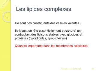 Les lipides complexes
Franck Rencurel 2019-2020 60
Ce sont des constituants des cellules vivantes .
Ils jouent un rôle essentiellement structural en
contractant des liaisons stables avec glucides et
protéines (glycolipides, lipoprotéines)
Quantité importante dans les membranes cellulaires
 