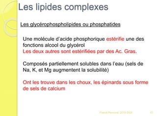 Franck Rencurel 2019-2020 61
Les lipides complexes
Les glycérophospholipides ou phosphatides
Une molécule d’acide phosphorique estérifie une des
fonctions alcool du glycérol
Les deux autres sont estérifiées par des Ac. Gras.
Composés partiellement solubles dans l’eau (sels de
Na, K, et Mg augmentent la solubilité)
Ont les trouve dans les choux, les épinards sous forme
de sels de calcium
 