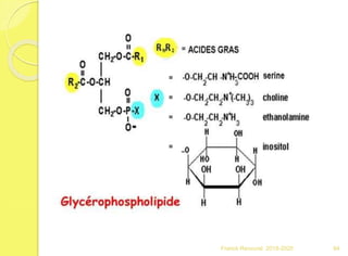 Franck Rencurel 2019-2020 64
 