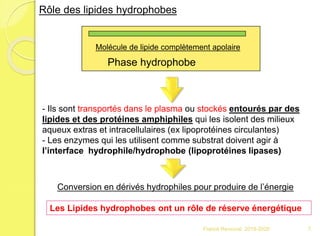 Rôle des lipides hydrophobes
Molécule de lipide complètement apolaire
Phase hydrophobe
- Ils sont transportés dans le plasma ou stockés entourés par des
lipides et des protéines amphiphiles qui les isolent des milieux
aqueux extras et intracellulaires (ex lipoprotéines circulantes)
- Les enzymes qui les utilisent comme substrat doivent agir à
l’interface hydrophile/hydrophobe (lipoprotéines lipases)
Conversion en dérivés hydrophiles pour produire de l’énergie
Les Lipides hydrophobes ont un rôle de réserve énergétique
7Franck Rencurel 2019-2020
 