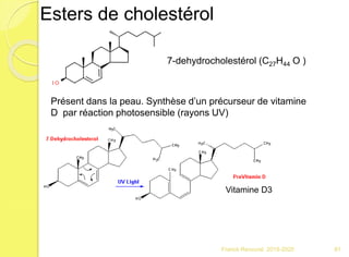 Franck Rencurel 2019-2020 81
Esters de cholestérol
7-dehydrocholestérol (C27H44 O )
Présent dans la peau. Synthèse d’un précurseur de vitamine
D par réaction photosensible (rayons UV)
Vitamine D3
 