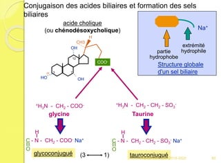 H
HO OH
OH
COO-
CH3
3 7
12
a
acide cholique
(ou chénodésoxycholique) Na+
partie
hydrophobe
extrémité
hydrophile
Structure globale
d'un sel biliaire
H
C - N - CH2 - COO- Na+
O
+H3N - CH2 - COO-
glycine
glycoconjugué
+H3N - CH2 - CH2 - SO3
-
Taurine
H
C - N - CH2 - CH2 - SO3
- Na+
O
tauroconjugué(3 1)
Conjugaison des acides biliaires et formation des sels
biliaires
85Franck Rencurel 2019-2020
 
