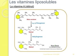 Franck Rencurel 2019-2020
Les vitamines liposolubles
La vitamine A (rétinol)
93
 