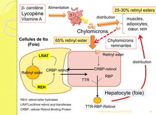 b- carotène
Lycopène
Vitamine A
Chylomicrons
muscles,
adipocytes,
cœur, rein
Chylomicrons
remnantes
Retinyl ester
CRBP-retinolCRBP retinol
Retinyl ester
RBP
TTR
TTR-RBP-Retinol
CRBP: cellular Retinol Binding Protein
REH
LRAT
LRAT:Lecithine retinol acyl transferase
REH: retinol ester hydrolase
25-30% retinyl esters
65% retinyl esterCellules de Ito
(Foie)
Hepatocyte (foie)
Alimentation
distribution
distribution
95Franck Rencurel 2019-2020
 