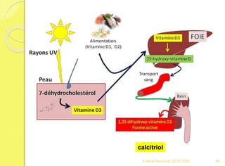 calcitriol
98Franck Rencurel 2019-2020
 