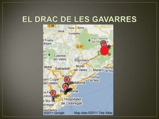 EL DRAC DE LES GAVARRES